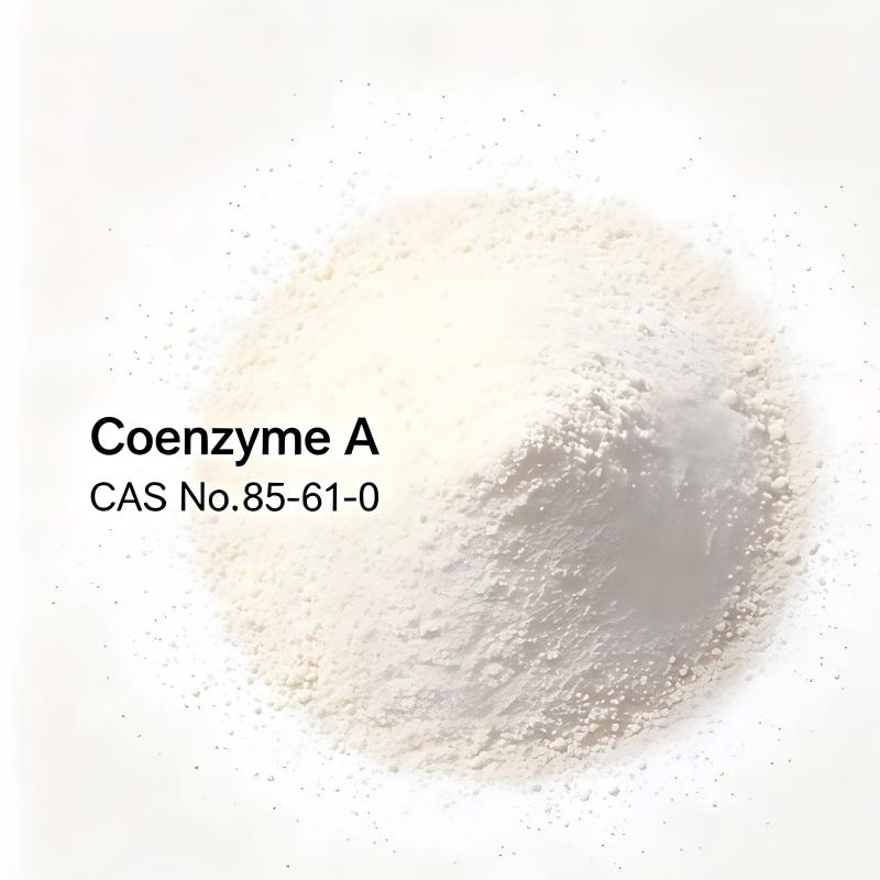 Coenzyme A Assay